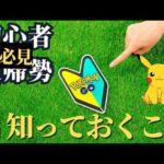 初心者、復帰勢向け！超序盤おすすめ攻略法まとめ！　ポケモンGO　初心者　やること　2024