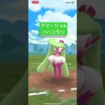 【ポケモンGO】アマージョ&ハハコモリ草2枚　#ポケモンgo #pokemongo #ポケモン #ハイパーリーグ #ハハコモリ #アマージョ #gbl