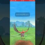 ポケモンGOバトルリーグ　スーパーリーグ81