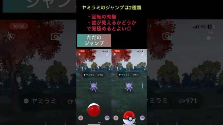 《ポケモンGO》見習いMゅによるエクセレント捕獲動画〜ヤミラミ編〜