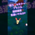 【本日から】磁力セミナープラスル！ポケモンGO色違いプラスルゲットだぜ！タイムチャレンジ完了、リサーチクリア、個体値高いレアポケモンをゲットする。PokémonGO ポケモンGOショート動画