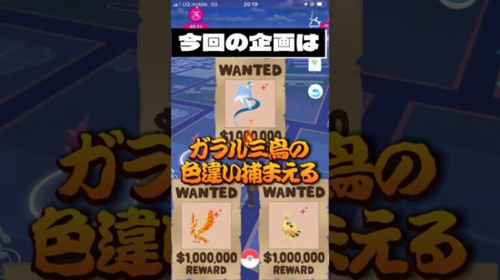 【ポケモンGO】おさんぽおこう使った「あの」色違いが出たんだがww #ポケモン #ガラル三鳥 #ポケモンgo #ポケモンsv #ポケ活