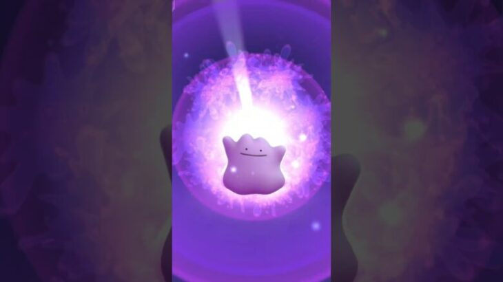 Mysterious Pokemon appeared #ditto #pokemongo #ポケモンgo