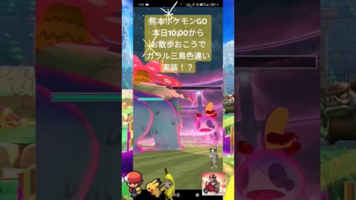 【Pokémon GO】本日10:00からお散歩おこうでガラル三鳥色違い実装「レイドバトルはザマゼンタ」feat.4月から新NISAマイナス戻ってきたオルカン+インド+野村半導体with保護猫天音ちん