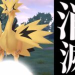 【全トレーナー必見⚠️】コレをすると色違いガラル三鳥は消えます。【ポケモンＧＯ・おさんぽおこう・Pokemon GO・Zapdos・shiny galarian birds】