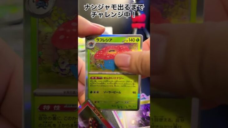 【ポケカ】シャイニートレジャーex開封R6.10.24#ポケカ開封動画 #ポケモンカード #ナンジャモ #pokemoncards