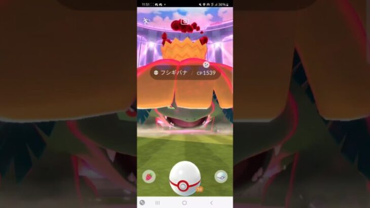 #ポケモンgo  キョダイマックス色違いフシギバナ！