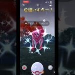 色違いザマゼンタついにキター！初心者part 39 【ポケモンGO】　#ポケモンgo #ポケモン #pokemon #pokémongo #ザマゼンタ