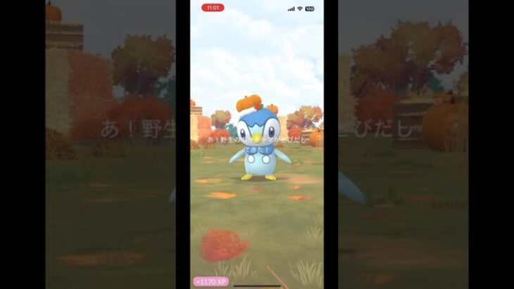 コスチュームポッチャマとバケッチャゲット！初心者part 52 #ポケモンgo #ポケモン #pokemon #pokémongo