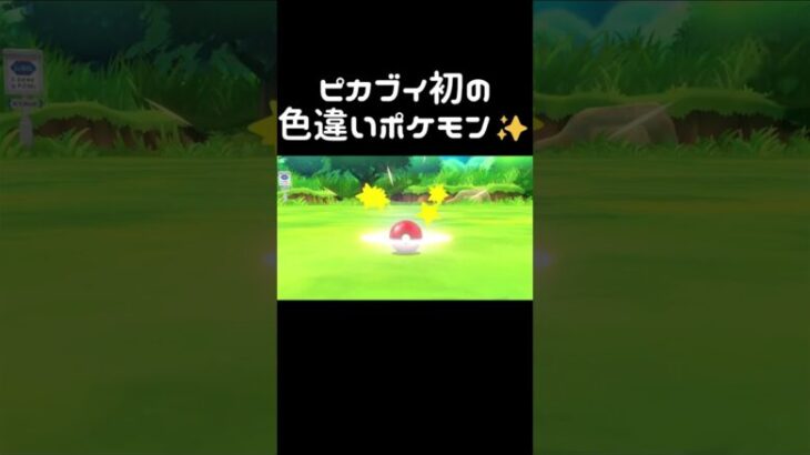 【ピカブイ】初！色違いコラッタ　#shorts　 #切り抜き　＃ポケットモンスター