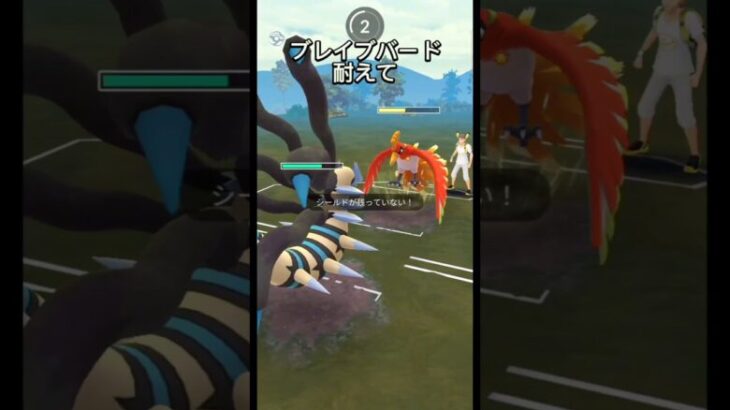 【マスターリーグ】ギラティナvsホウオウ【ブルックGO】#shorts #ポケモンgo #pokemongo #ブルックGO #過去動画