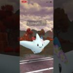 【マスターリーグ】カイオーガ、アシレーヌ、トゲキッス、20241101(ポケモンgo ML)音なし