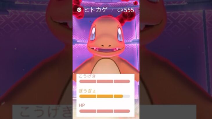 マックスマンデーで96%ヒトカゲきたああああ！！！！！【ポケモンGO】　#ダイマックス　#ヒトカゲ　#ポケモンGO