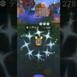 【ハロウィン】色違いデデンネGET#shorts【ポケモンGO】