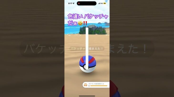 色違い バケッチャだぁ🤩‼️ 🩷　　ポケモンGO