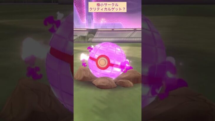 【難易度中】ダイマックスモグリュー極小サークルクリティカルゲット？【ポケモンGO】