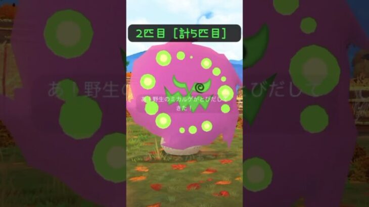 ポケモンGO レアタスク クリア報酬で色違いミカルゲGETチャレンジ 2024 Vol.2