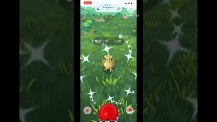 【ポケモンGO】ゴールドポッポに不意打ちで最後の挨拶をとられてしまった⁉︎ #ポケモンgo #ポケモン #色違い #shorts