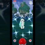 【ポケモンGO】久しぶり！ガラルポニータ！#色違いポケモン #ポケモンgo #色違い#shorts