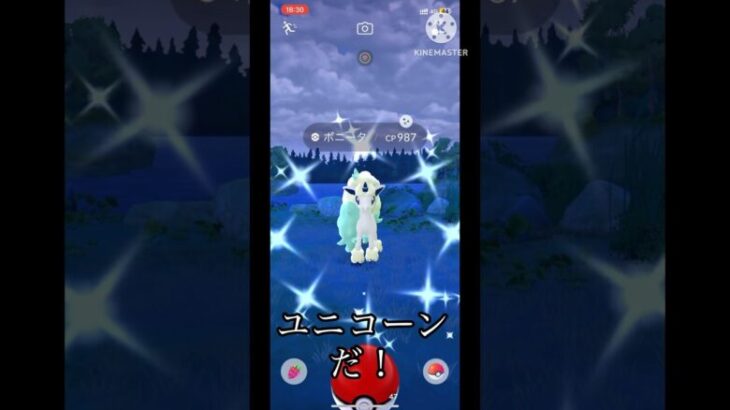 【ポケモンGO】ちょっとツンデレなポニータくんが出た⁉︎ #ポケモンgo #ポケモン #色違い　#shorts