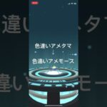 ポケモンGO 色違いアメタマ出現！色違いアメモースへ進化！ #pokémon #ポケモン #ポケモンgo #ポケgo