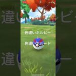 ポケモンGO 色違いホルビー出現！色違いホルードへ進化！ #pokémon #ポケモン #ポケモンgo #ポケgo