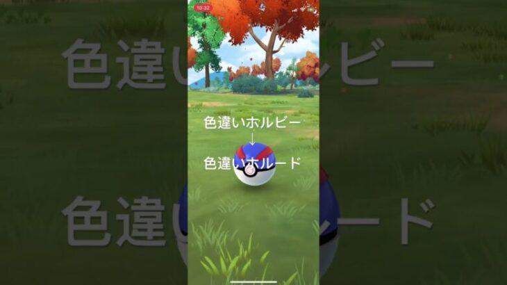 ポケモンGO 色違いホルビー出現！色違いホルードへ進化！ #pokémon #ポケモン #ポケモンgo #ポケgo