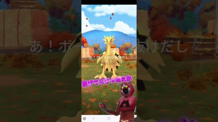 【ポケモンGO】色違いサンダー捕獲なるか！？ #shorts