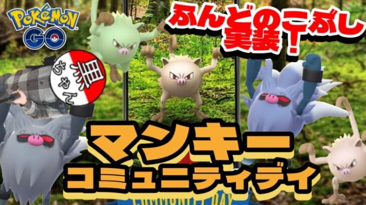 【ポケモンGO】マンキー大量発生中！！！11月コミュニティデイ！！！