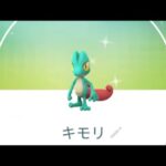 【ポケモンGO】色違いBOX公開ホウエン編