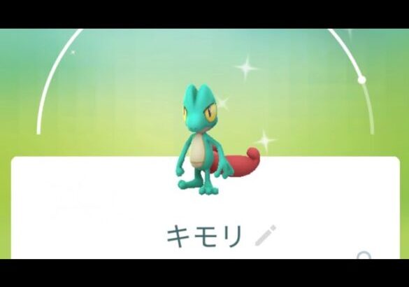 【ポケモンGO】色違いBOX公開ホウエン編