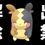 【ポケモンGO】モルペコ出禁解除きｔらあああああああああ【GOバトルリーグ】