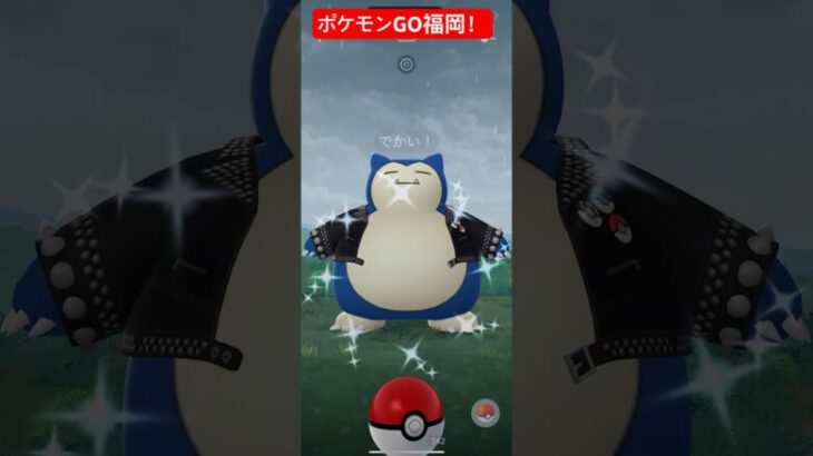 ポケモンGO福岡で、強い特別なカビゴンの色違い、サファリボール入りXXLサイズをゲット！激アツすぎる！#ポケモンgo #shorts #short #pokemon