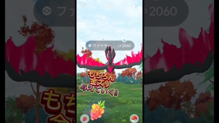 【ポケモンGO】vsガラルファイヤーさん対戦よろしくお願いします!【ブルックGO】#shorts #ポケモンgoガラル3鳥色違い #ブルックGO #過去動画