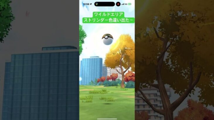 #ポケモンgo色違い #ワイルドエリア