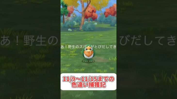 これが無課金勢の意地じゃ#ポケモンgo #pokemon