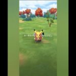 ハードロックピカチュウ初ゲット #ピカチュウ  #pokemongo #ポケモンgo #4k30fps