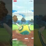 【スーパーリーグ】プクリン、ノコッチ、ガラガラ20241205(ポケモンgo SL)音なし