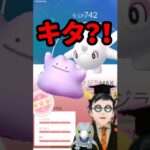 【ポケモンGO】まさかの高個体GET!いまメタモン何に変身してる？ #大発見でも大発見！ #アルクジラ #メタモン #セビエ #2024年12月27日