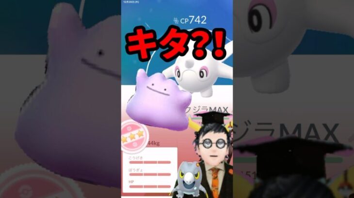 【ポケモンGO】まさかの高個体GET!いまメタモン何に変身してる？ #大発見でも大発見！ #アルクジラ #メタモン #セビエ #2024年12月27日