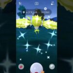 色違いレジエレキ・レジドラゴが欲しい！ポケモンGO！Pokémon GO！