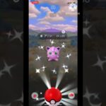 【ポケモンGO】音…音がぁぁ！#ポケモンgo #色違い #ポケモン #shorts