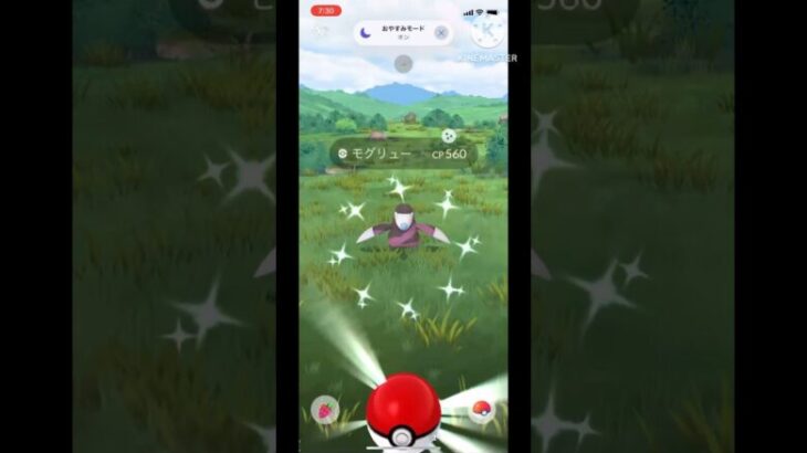 【ポケモンGO】リワードから色違いが出た！#ポケモンgo #ポケモン #色違い #色違いポケモン #shorts