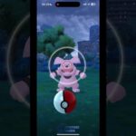 Pokemon GO – gintotski Catching a 1 Star Granbull