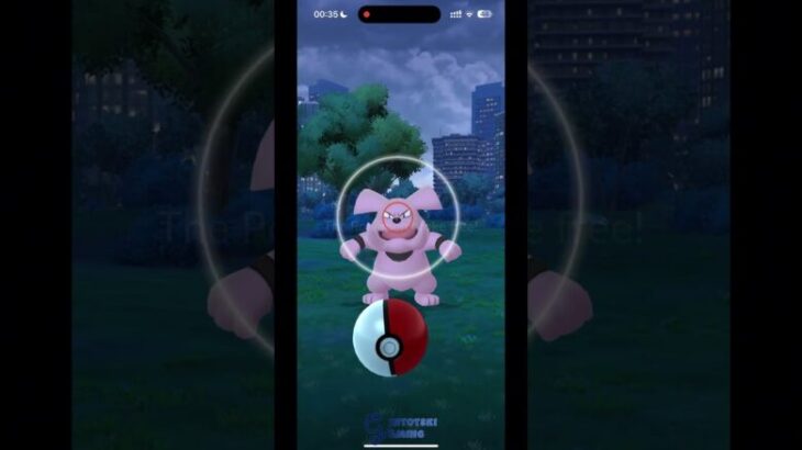 Pokemon GO – gintotski Catching a 1 Star Granbull