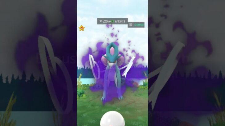 Shadow Suicune 🔥 New Raid 🔥Pokemon Go #shorts #short #shortvideo #pokemongo #pokemon