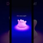 Surprise! Catching Bergmite Turns Into Ditto in Pokemon GO #Shorts #Bergmite #Ditto #PokemonGO