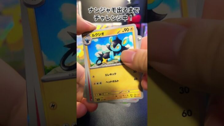 【ポケカ】シャイニートレジャーex開封R6.12.3#ポケカ開封 #ポケモンカード #ナンジャモ #pokemoncards