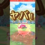 硬い、ナマズン。🛡スーパーリーグ対あり！#ポケモンgo