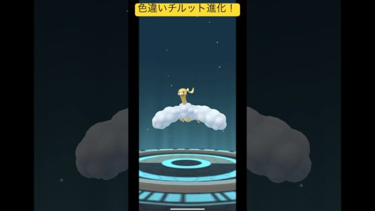 色違いチルット忘れてたから進化させていく！#ポケモンgo #ポケモン #shorts #short #pokemon #pokemongo